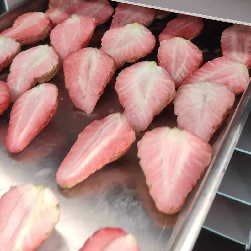 新型10kg乾燥食品真空凍結乾燥機ミニフルーツ野菜家庭用価格 - Dried Fruit のレビューと価格