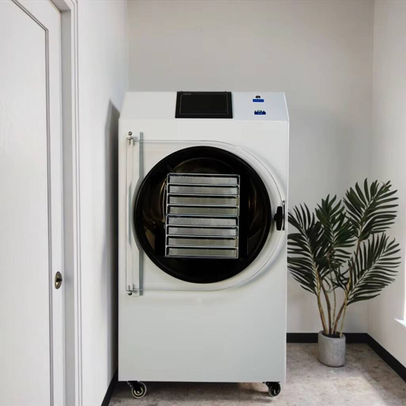 自動PLC制御乾燥機 食品加工用乾燥コーヒー果実凍結乾燥機 - Dried Fruit のレビューと価格
